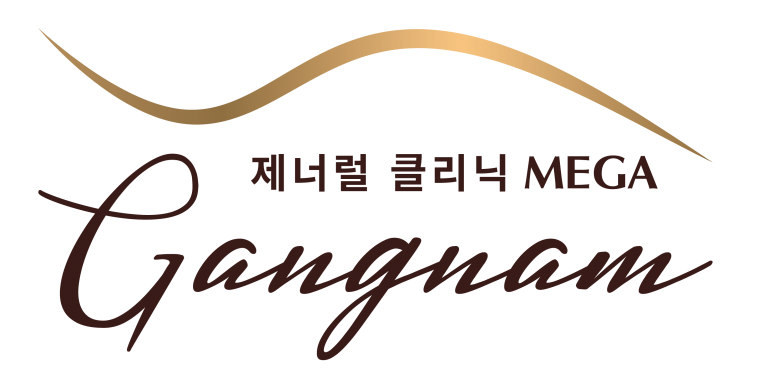 megagangnam_Logo-header