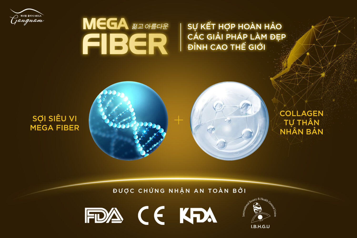 Sự kết hợp đặc biệt của sợi siêu vi Mega Fiber và collagen tự thân nhân bản 