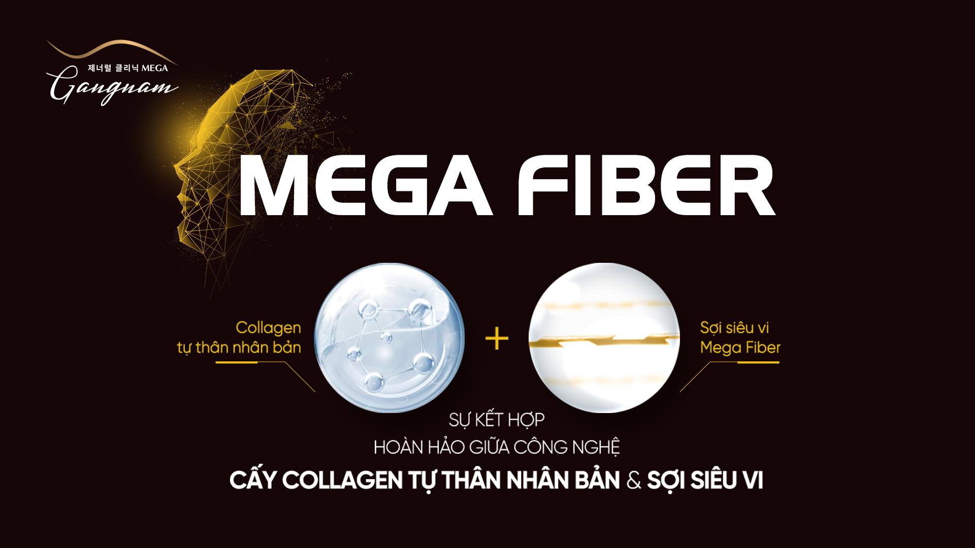 Mega Fiber kết hợp đa trị liệu tăng hiệu quả trẻ hóa xóa nhăn