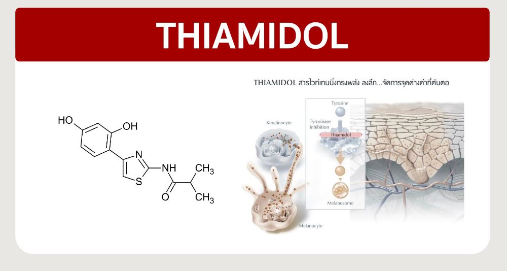 Bạn đã từng biết đến Thiamidol hay chưa? 