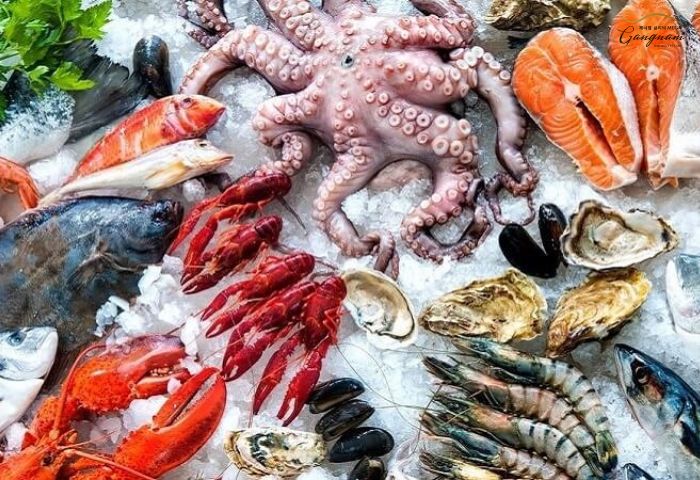 Cá, hải sản và các loại ốc, sò cung cấp collagen