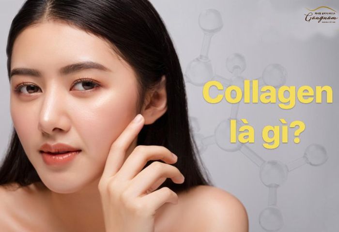 Collagen là gì?