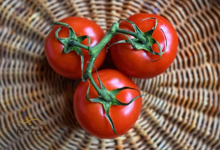 Ăn cà chua sống có tác dụng gì? Đánh giá từ chuyên gia!