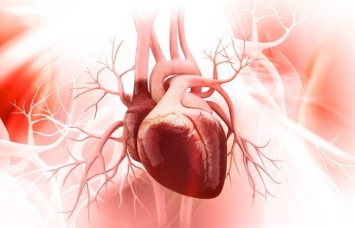 Vitamin E cải thiện sức khỏe hệ tim mạch
