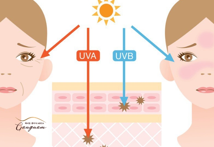 Cần sử dụng kem chống nắng có khả năng bảo vệ da toàn diện chống lại cả UVA và UVB